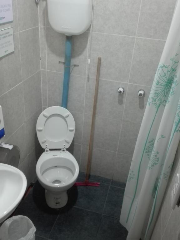 Koala Hostelメンドーサ 部屋 写真